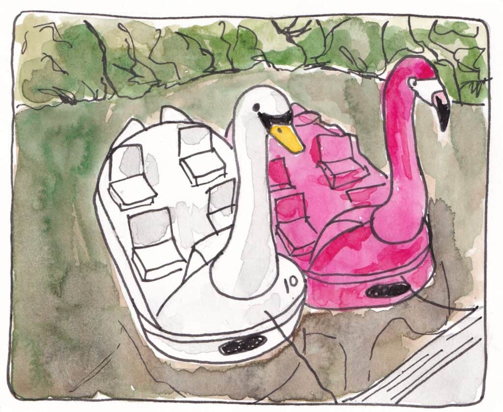 Illustration of Matlock Bath Boats